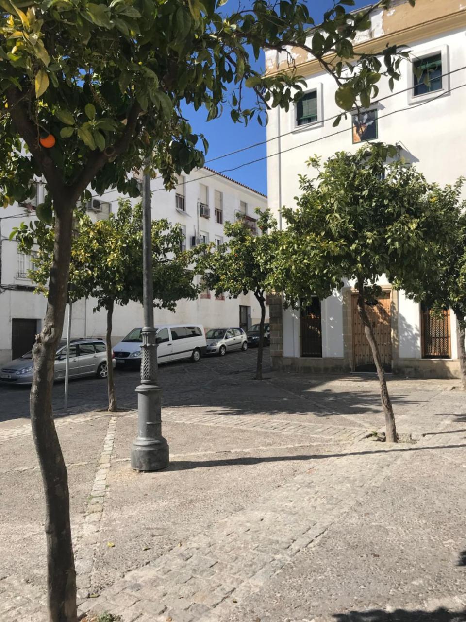 Apartamento !!Vive Jerez!! Jerez de la Frontera Exterior foto